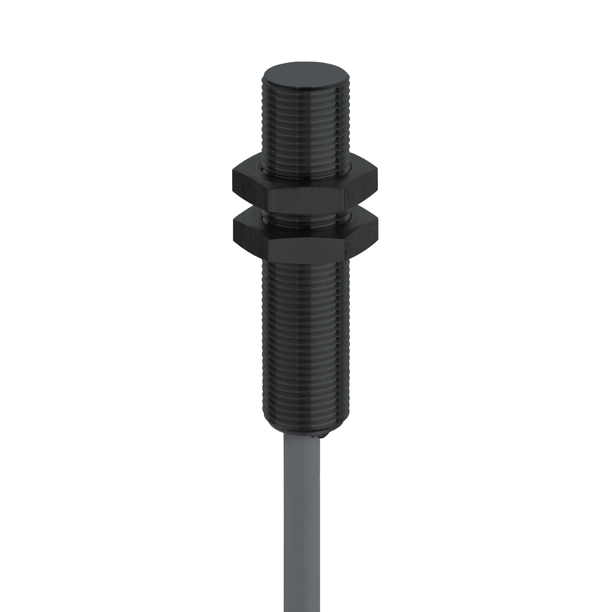 2 Wire Weld-immune Coated M12 Embeddable 4 mm 10...65 VDC