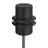 2 Wire Weld-immune Coated M30 Embeddable 10 mm 10...65 VDC
